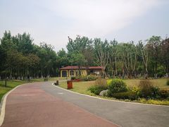 -府河摄影公园