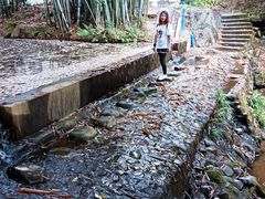 -林丰温泉度假山庄