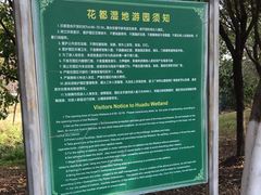-广东花都湖国家湿地公园