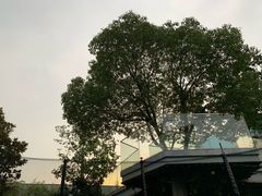 -汪说喵讲宠物乐园宠物酒店(红星美凯龙店)