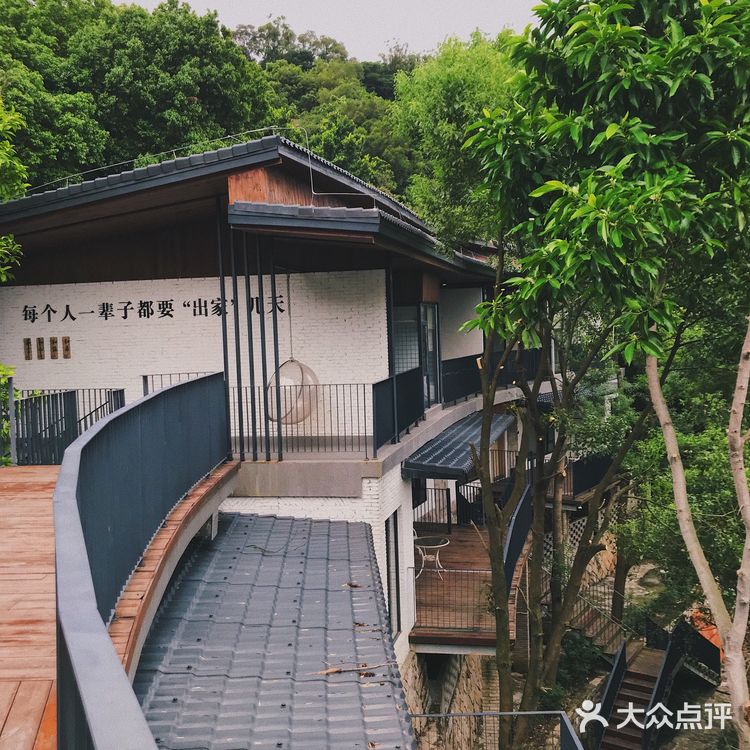 泉州的世外桃源🌳逃离城市 去享受大自然