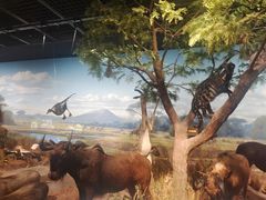 -陕西自然博物馆