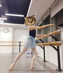 -德加芭蕾·舞蹈培训