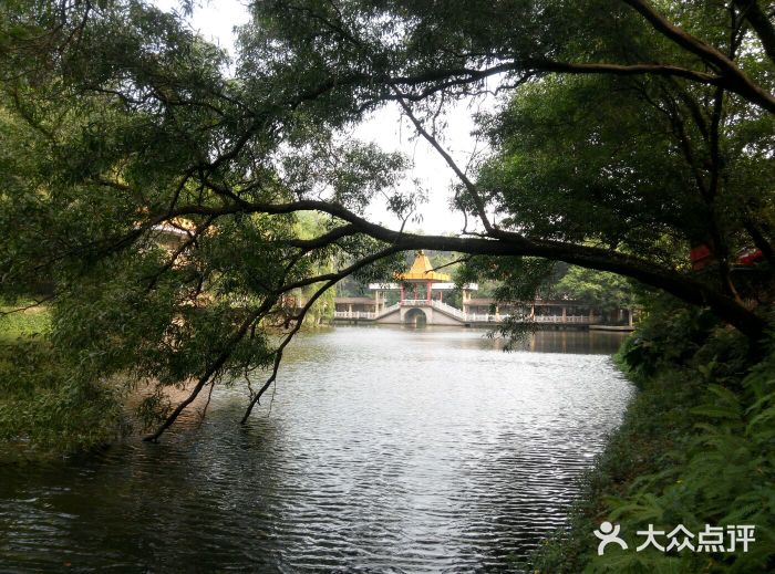 小瀛洲度假村(番禺療養院)圖片