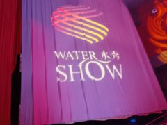 -水秀国际大剧院