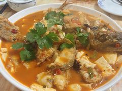 -煲来饱去冷水鱼