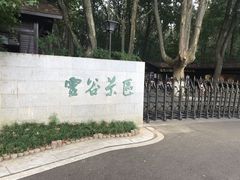 -灵谷景区