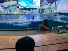 -福州罗源湾海洋世界旅游区