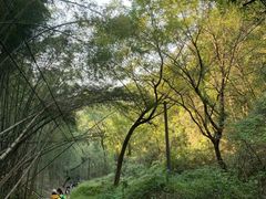 -会稽山峡洞漂流-上青古道