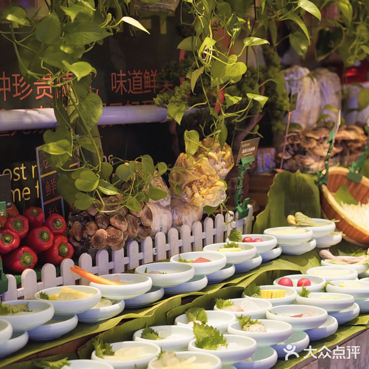 亚马逊自助吃回本📍详细路线图攻略‼️