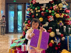 -杭州城中香格里拉大酒店