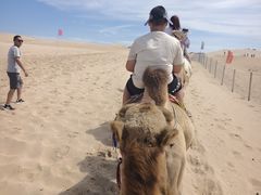 -库伦旗银沙湾旅游景区