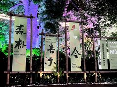 -杭州宋城