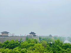 -清真石家包子(大皮院总店)