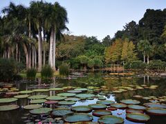 -中国科学院西双版纳热带植物园