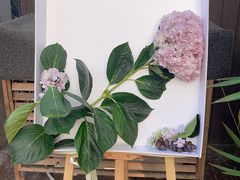 -Supine Bistro溯泮餐厅