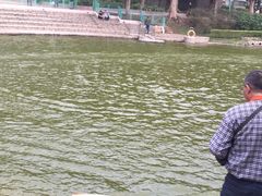 -屯门公园