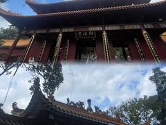 -梧桐山风景名胜区