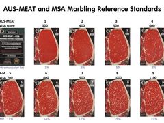 -赤坂亭M9和牛烧肉·日料398放题(万达店)