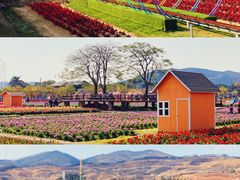 -盈香心动乐园