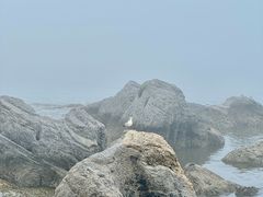 -黑石礁公园