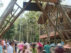 -海南槟榔谷黎苗文化旅游区