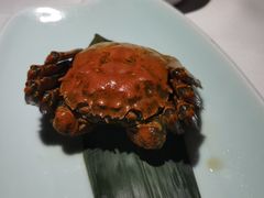 -小厨娘淮扬菜(六合欢乐港店)