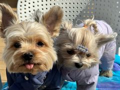 -小意思咖啡店(草桥店)