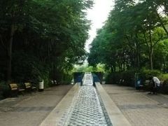 -苏州河梦清园环保主题公园