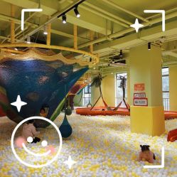 -宝燕乐园(闵行旗舰店)