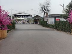 -北京凤凰岭