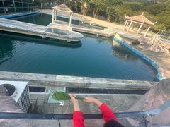 -广东惠东海龟国家级自然保护区