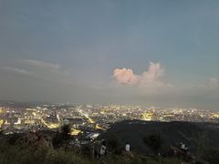 -长虫山生态公园风景林