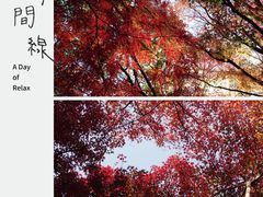 -秋霞圃