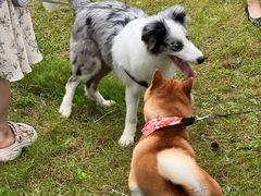 -青岛海尔洲际酒店