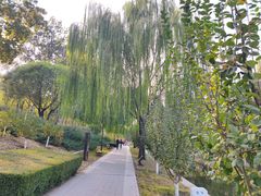 -元大都城垣遗址公园