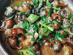 紫苏山坑螺-园林美食城·本土农家菜(杨和镇店)