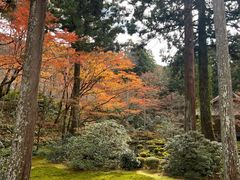 -三千院