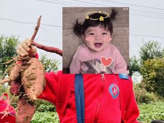 -洪恩幼儿园