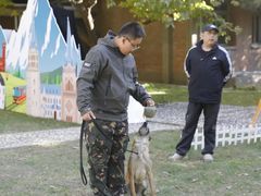 -北京京卫宠物寄养训练中心