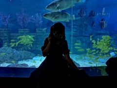 -烟台海昌鲸鲨海洋公园