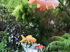 -陶缘一号·四季缘·老字号顺德菜·户外婚礼家宴(西滘店)