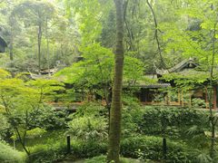 -凤栖山