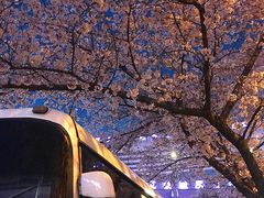 -上海南浦大桥长途旅游客运站