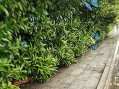 -杭州龙禧福朋喜来登酒店