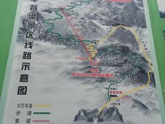 -牛背梁国家森林公园