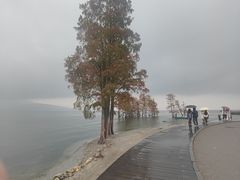 -大理洱海