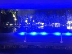 -采悦轩中餐厅·粤菜·海南菜(神州半岛喜来登度假酒店)