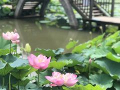 -瑞思教育·少儿英语(凯德校区)