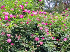 -大龙山(地铁站)